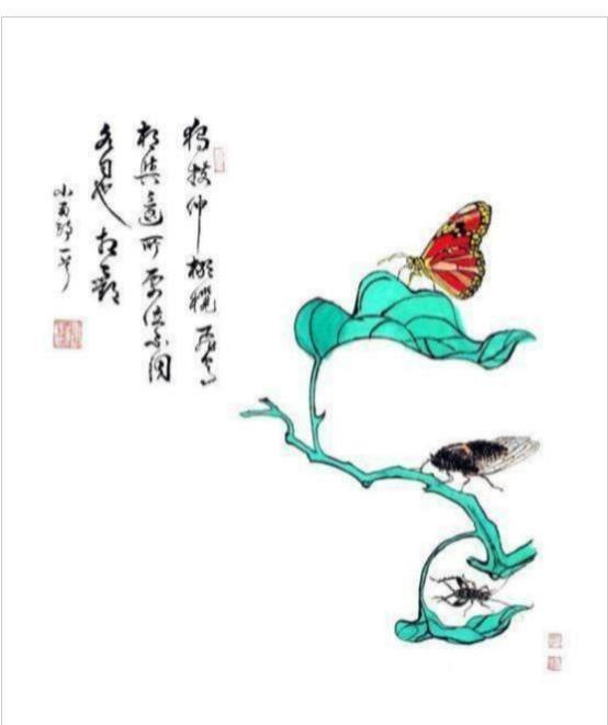 图片9.png